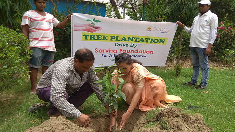 Sarvha Foundation plantation drive.